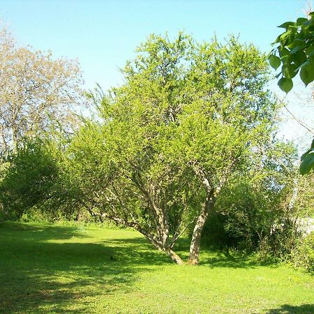 Chez Scallan B&B Sens sur Seille エクステリア 写真